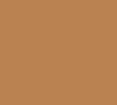 Li Pigments Loaded Bucksin 15 ml oefenpigment