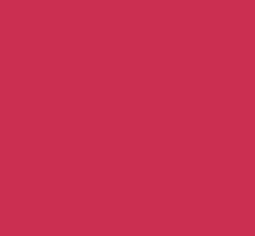 Li Pigments Berry Persistent 12 ml - Oefenpigment